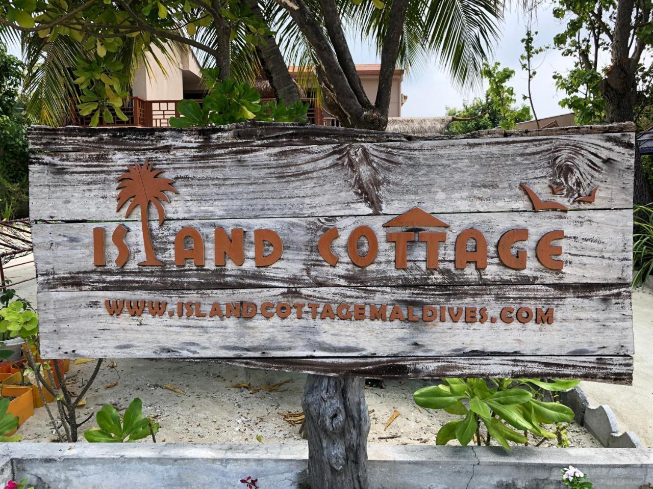Island Cottage Maafushi Dış mekan fotoğraf